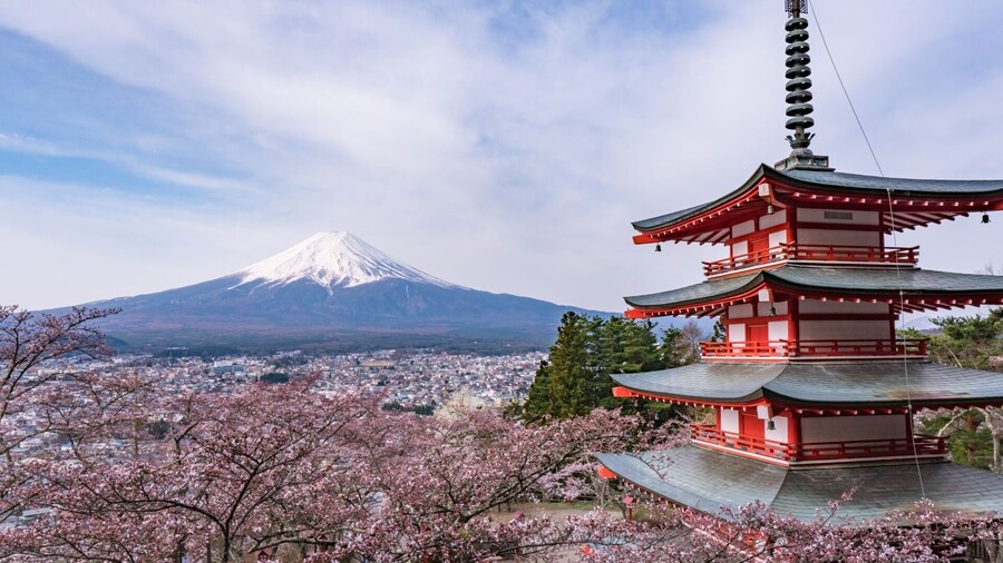 Tokyo: Mt.Fuji & Lake Kawaguchiko 1-Day Bus Tour without Lunch
