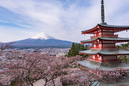 Tokyo: Mt.Fuji & Lake Kawaguchiko 1-Day Bus Tour without Lunch