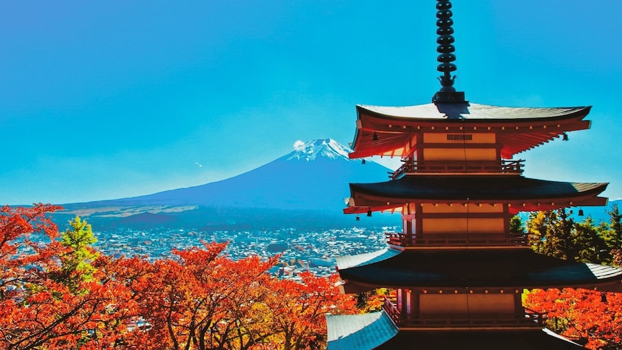 Tokyo: Mt.Fuji & Lake Kawaguchiko 1-Day Bus Tour with Hoto / Vegan Lunch