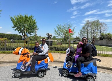 Bridge to Fun: A Chattanooga 1 Hour Rydable Experience