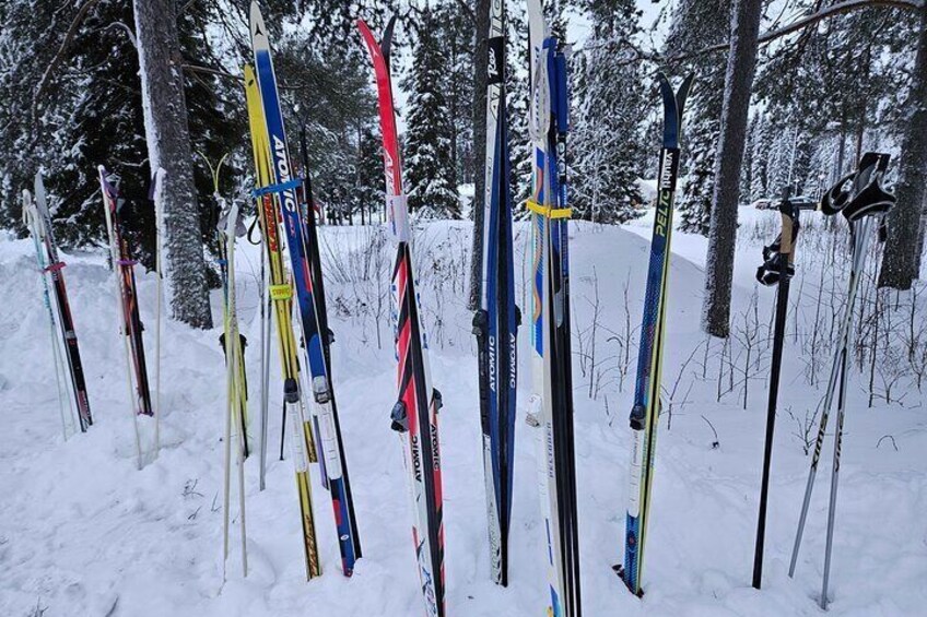 Traditional Small-group Sight-Skiing Experience in Kemi