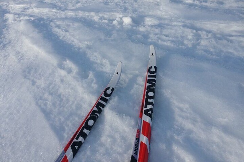 Traditional Small-group Sight-Skiing Experience in Kemi