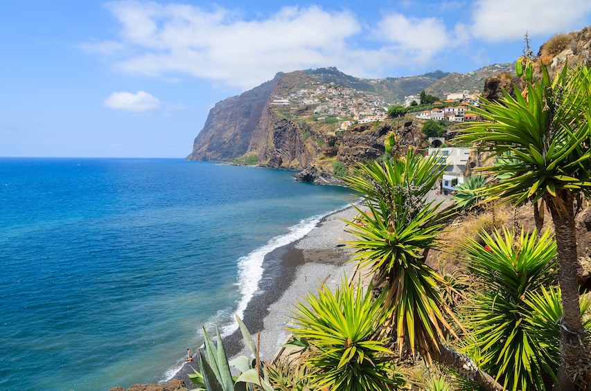 Tropical, Funchal, Jardín formal, Madeira