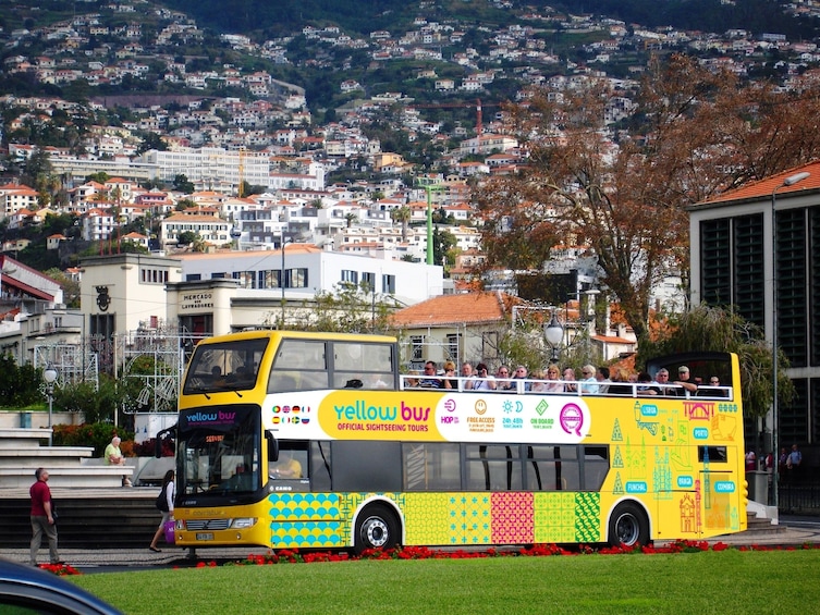 Yellowbus in Câmara De Lobos
