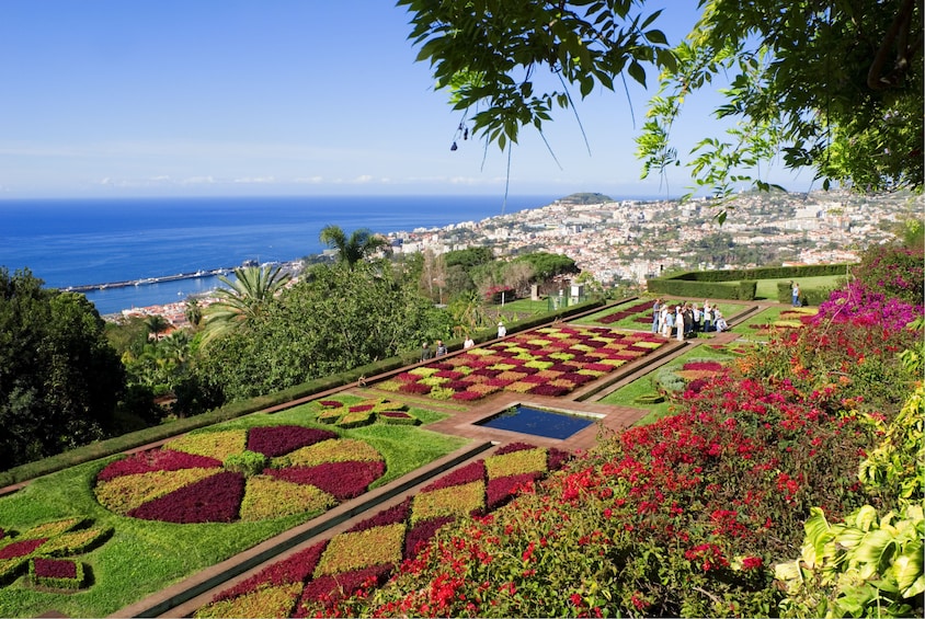 Aerial view of a botanical garden in Porto, Portugal 