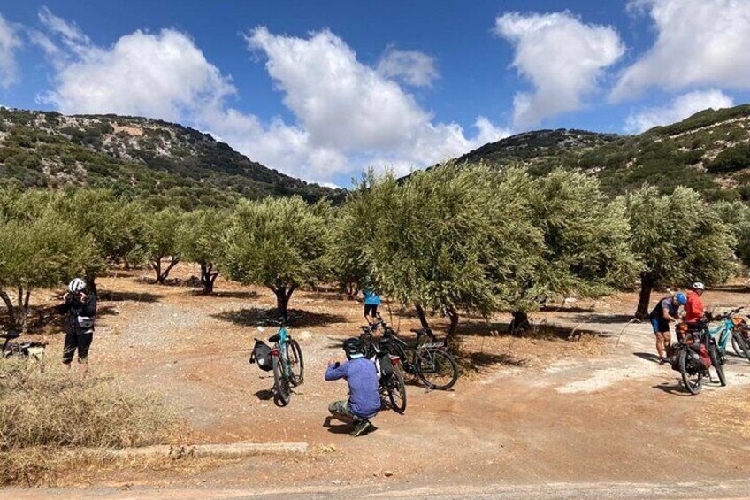 3-Hour Crete E-Bike Tour with Wine Tasting