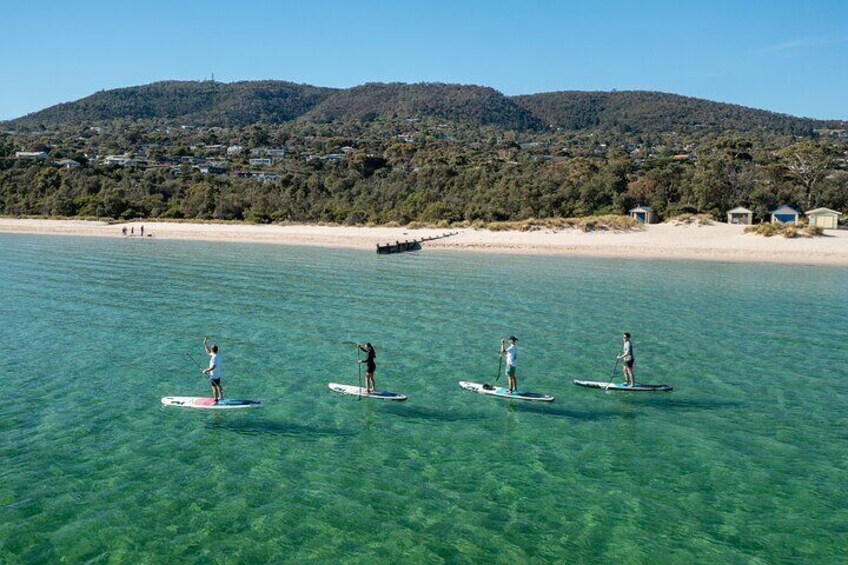 SUP the tranquil waters of the Mornington Peninsula