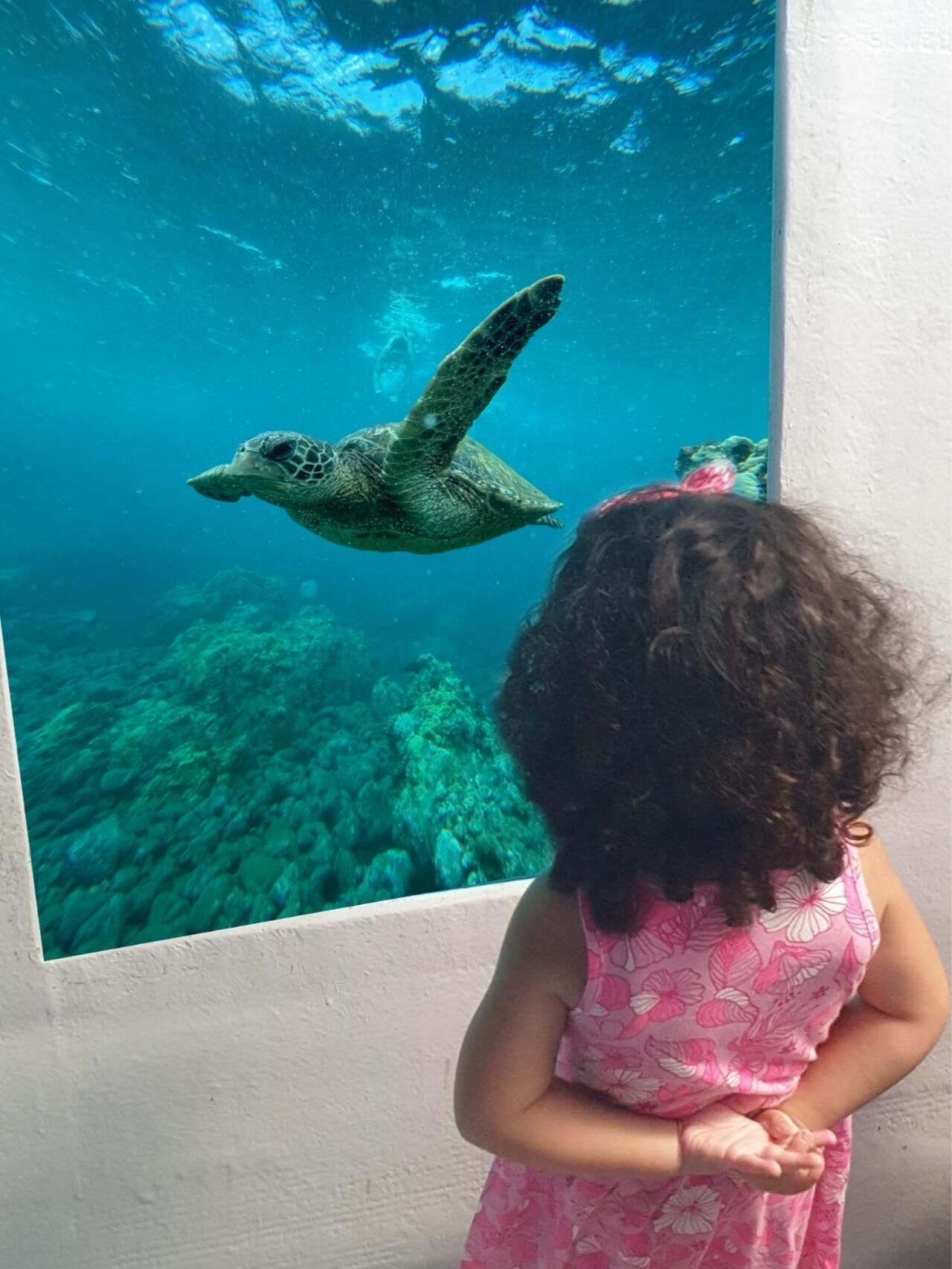 Larnaca: Yellow Submarine Mini Cruise with a Swim Stop