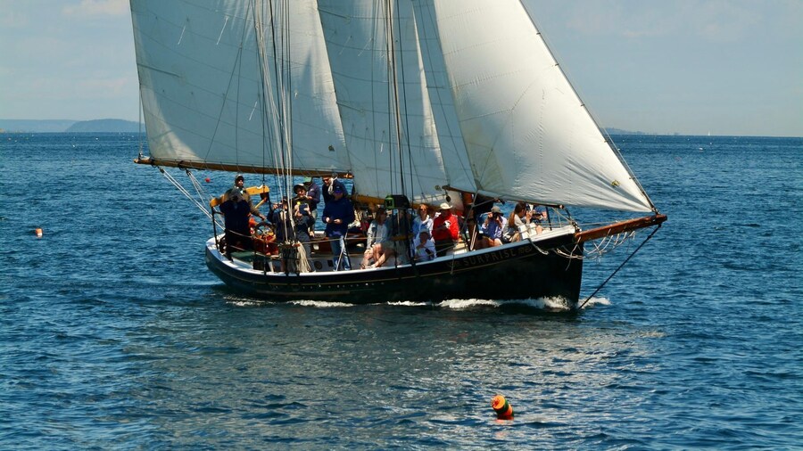Camden, Maine: Day Sails aboard Schooner Surprise