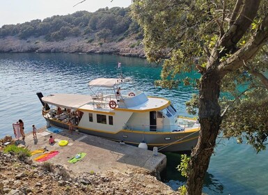 Punat-Krk, Cruise and swim at Golden Beach and Blue cave.ッ