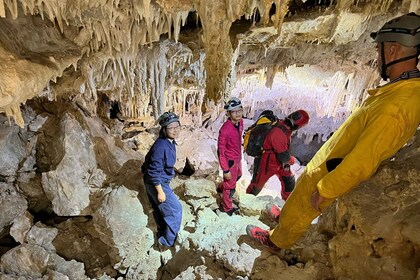 Palma de Mallorca: Es Marmols Cave Tour