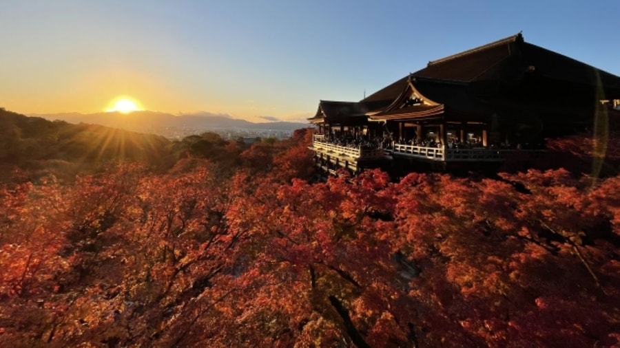 From Nagoya: Kyoto Day Tour with Kobe Beef Shabu-Shabu Lunch