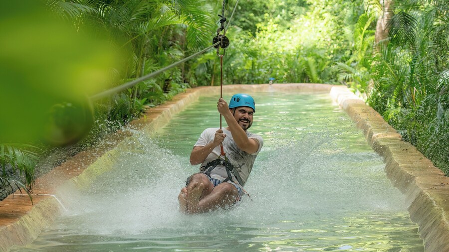 Selvatica Extreme Park: Zipline Adventure with lunch