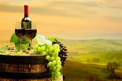 Private Chianti Tour Half Day 2 Wineries & Lunch in Tuscan Hills