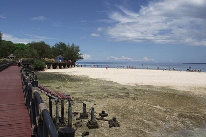 3 days full Zanzibar Experience. Top 6 tours in three days