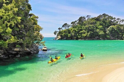 3 Day Abel Tasman Guided Kayak & Walk - Nelson