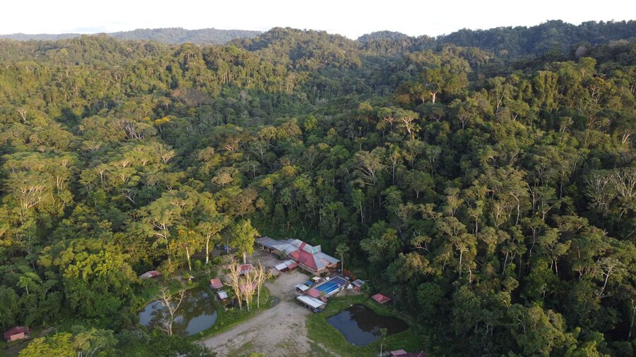 3 Day Jungle Tour Expedition Amazonia Ecuador All included