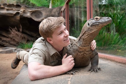 From Gold Coast : Australia Zoo Transfer and Entry Ticket