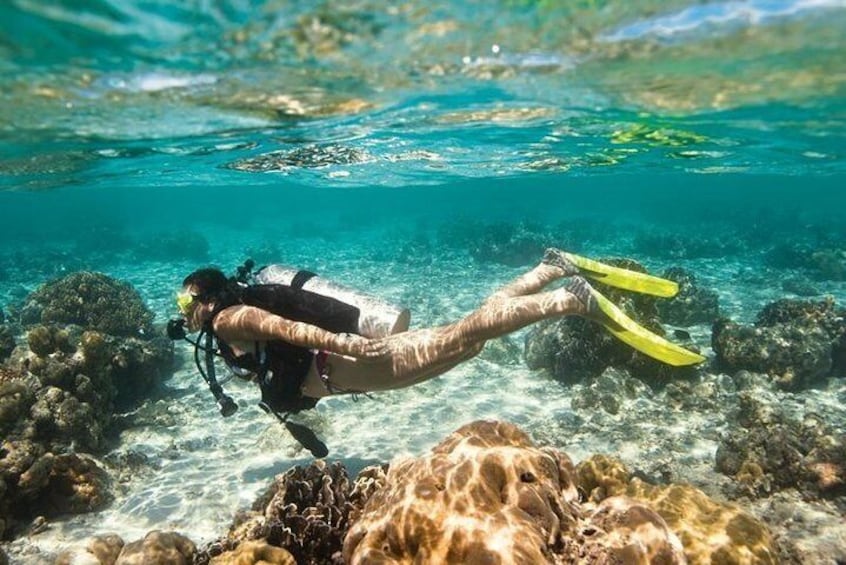 Try Scuba Diving experience for Beginners (and other PADI Scuba Diving courses)