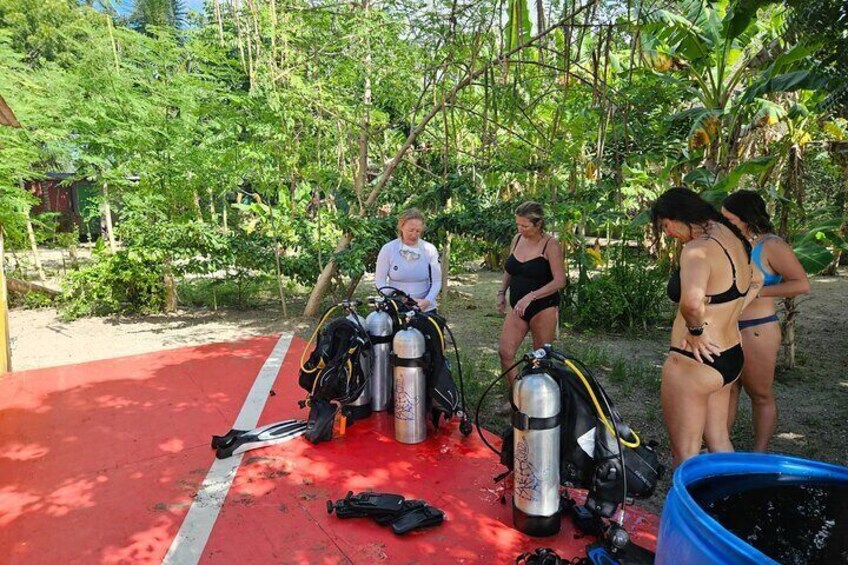 Try Scuba Diving experience for Beginners (and other PADI Scuba Diving courses)