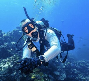 Port Douglas: Premium Outer Reef Dive Trip