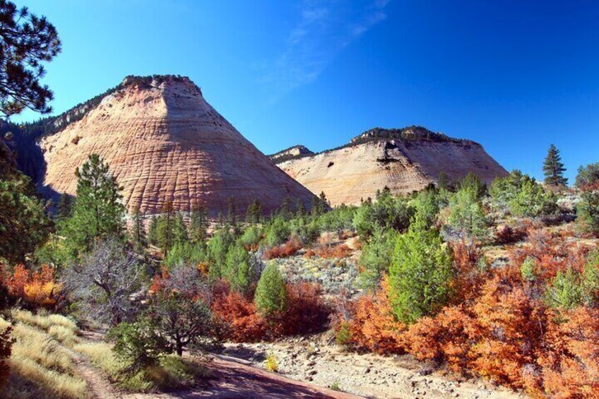 Utah Mighty 5 National Parks Self-Driving Audio Tours