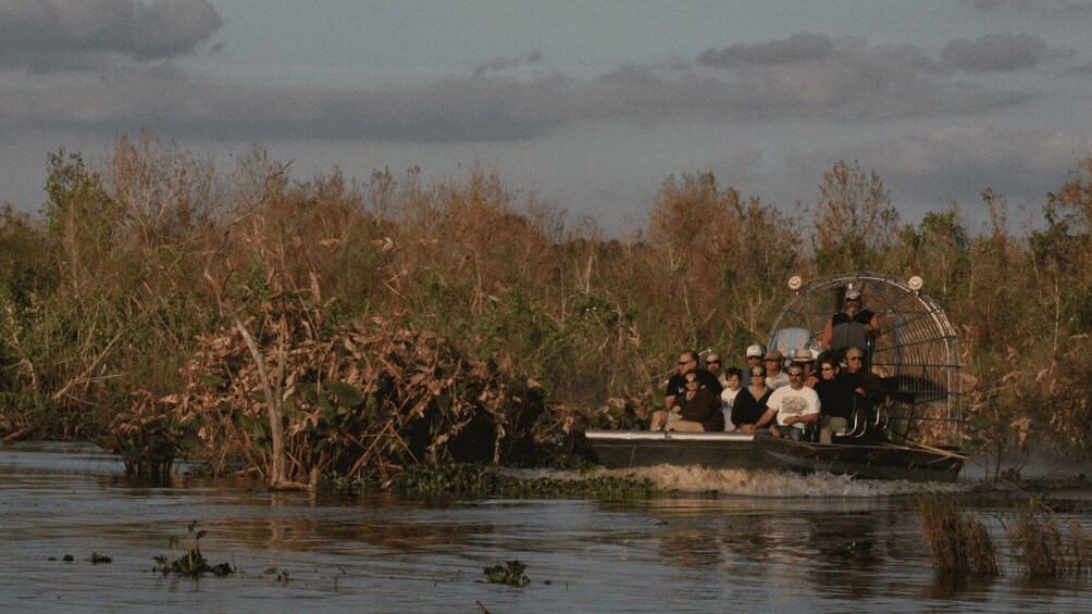 Picture 5 for Activity Everglades Day Safari from Sanibel, Fort Myers & Naples