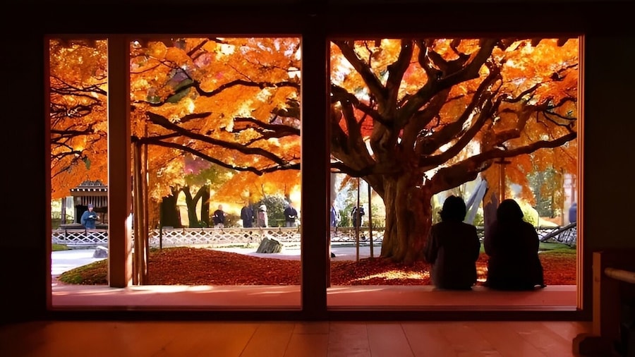 Japan: Hidden Gems of Itoshima One Day Tour