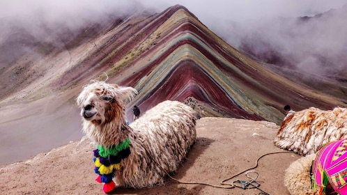 Full Day Rainbow Mountain Trek