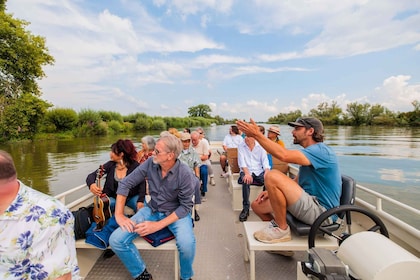 Biesbosch: National Park Cruise