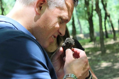 Truffle Dinner, Truffle Dogs & Orchard Tour
