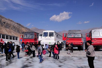 Calgary/Canmore/Banff: Columbia Icefield Glacier Day Tour
