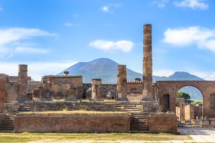 From Naples: Pompeii Shore Excursion - Guided Tour & Ticket