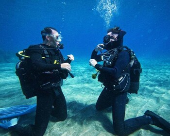 Tenerife: Private Scuba Diving–Certified Instructor & Photos