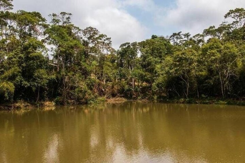 Full Day Private Tour to the Native Indigenous Tribe in São Paulo