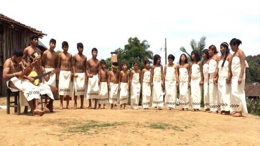 Full Day Private Tour to the Native Indigenous Tribe in São Paulo