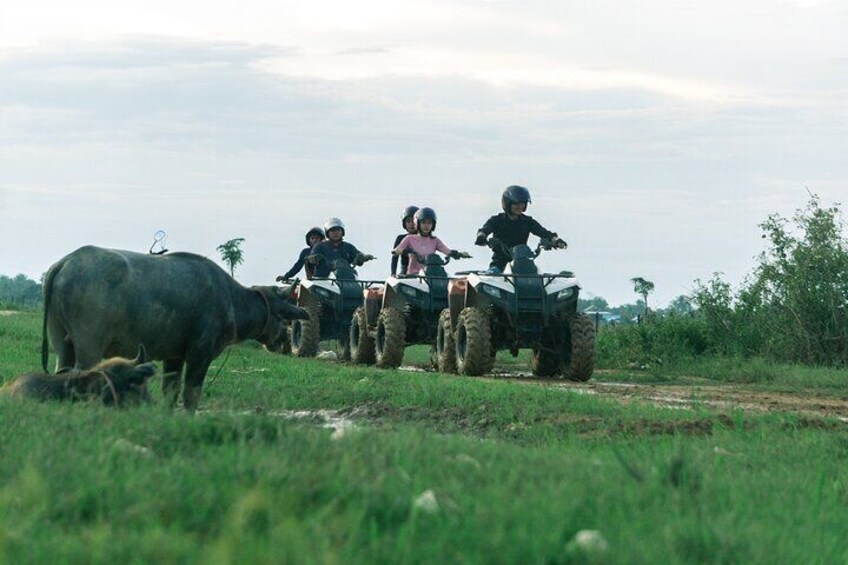 Siem Reap Countryside Quad Biking Tour 