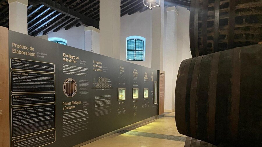 Visit a century-old winery in the centre of jerez