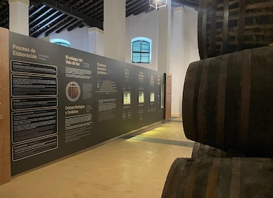 Visit a century-old winery in the centre of jerez