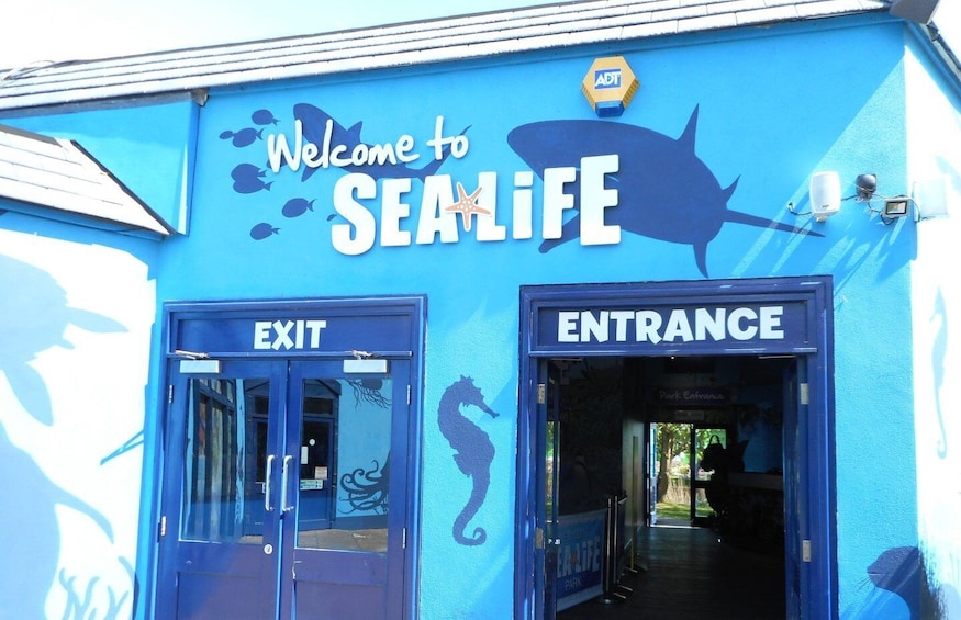 Picture 2 for Activity Sea Life Weymouth