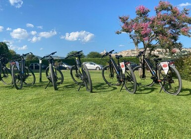 Assisi to Spello Bike & Wine Tour