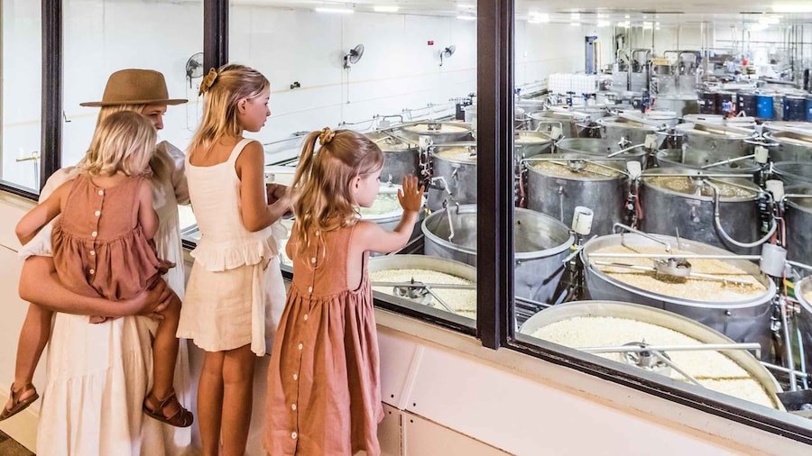 The Sunshine Coast: The Ginger Factory Tour & Tasting