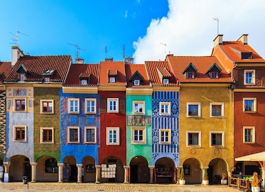 Old Town Poznan: Guided Walking Tour in English
