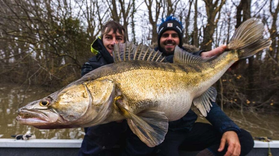 Poissy: Enjoy a boat fishing trip on the Seine near Paris