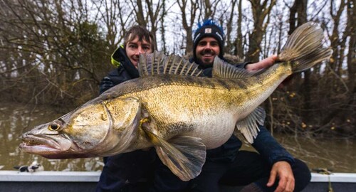Poissy: Experience a boat fishing session on the Seine near Paris