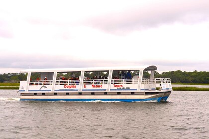 Hilton Head Island: Sunset Dolphin Watching Cruise