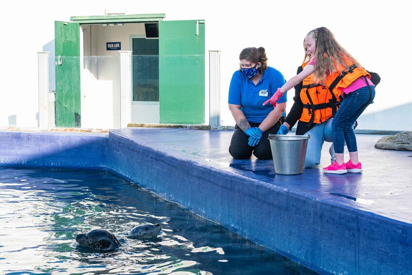 Picture 3 for Activity Sea Life Hunstanton