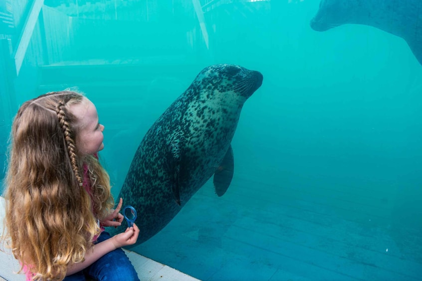 Picture 1 for Activity Sea Life Hunstanton