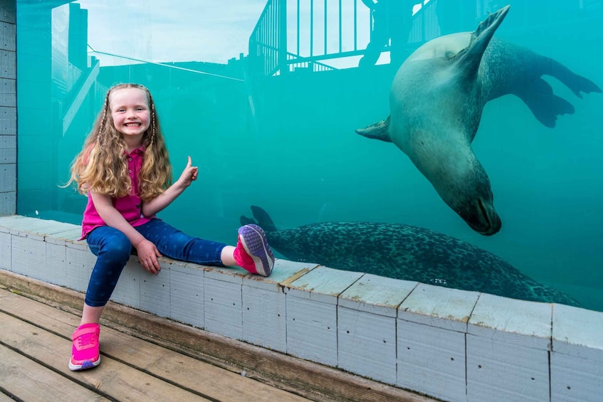 Sea Life Hunstanton