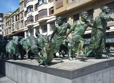 Pamplona - Private Historic Walking Tour